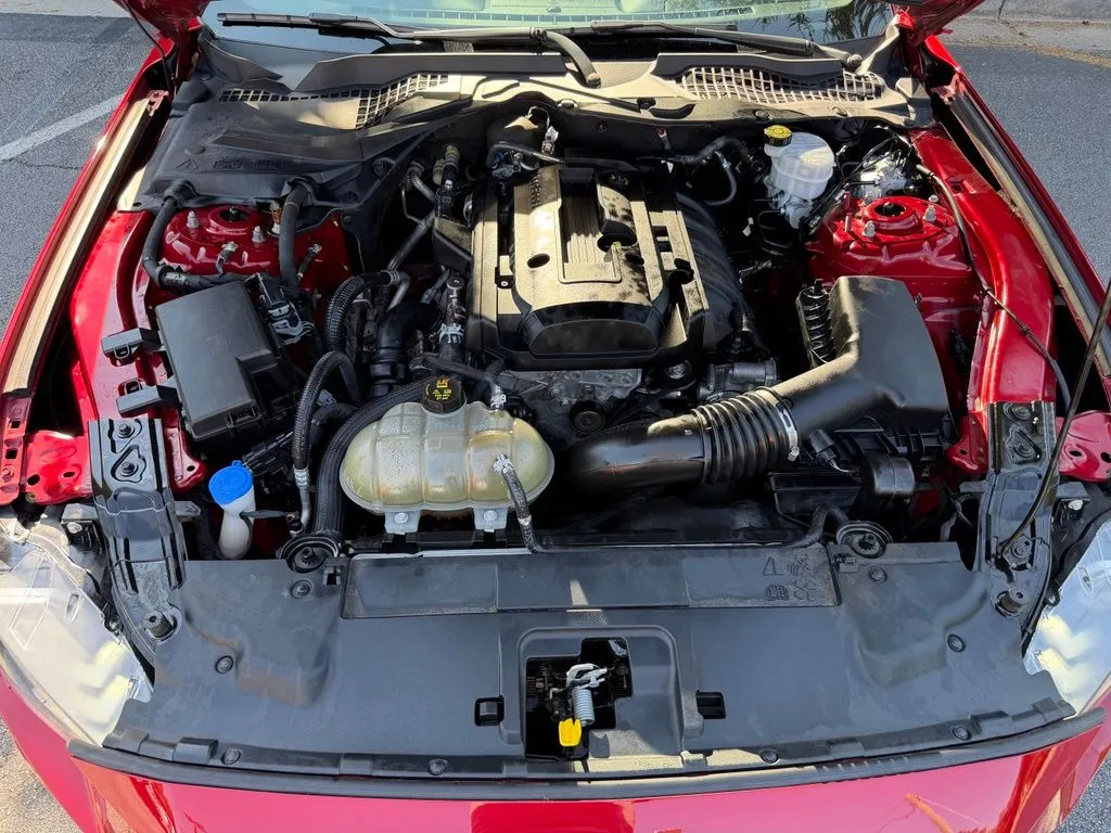 Ford Mustang photo 6