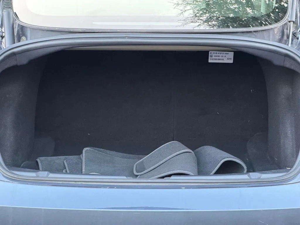 Tesla Model 3 photo 18