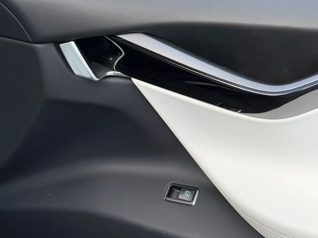 Tesla Model X photo 35