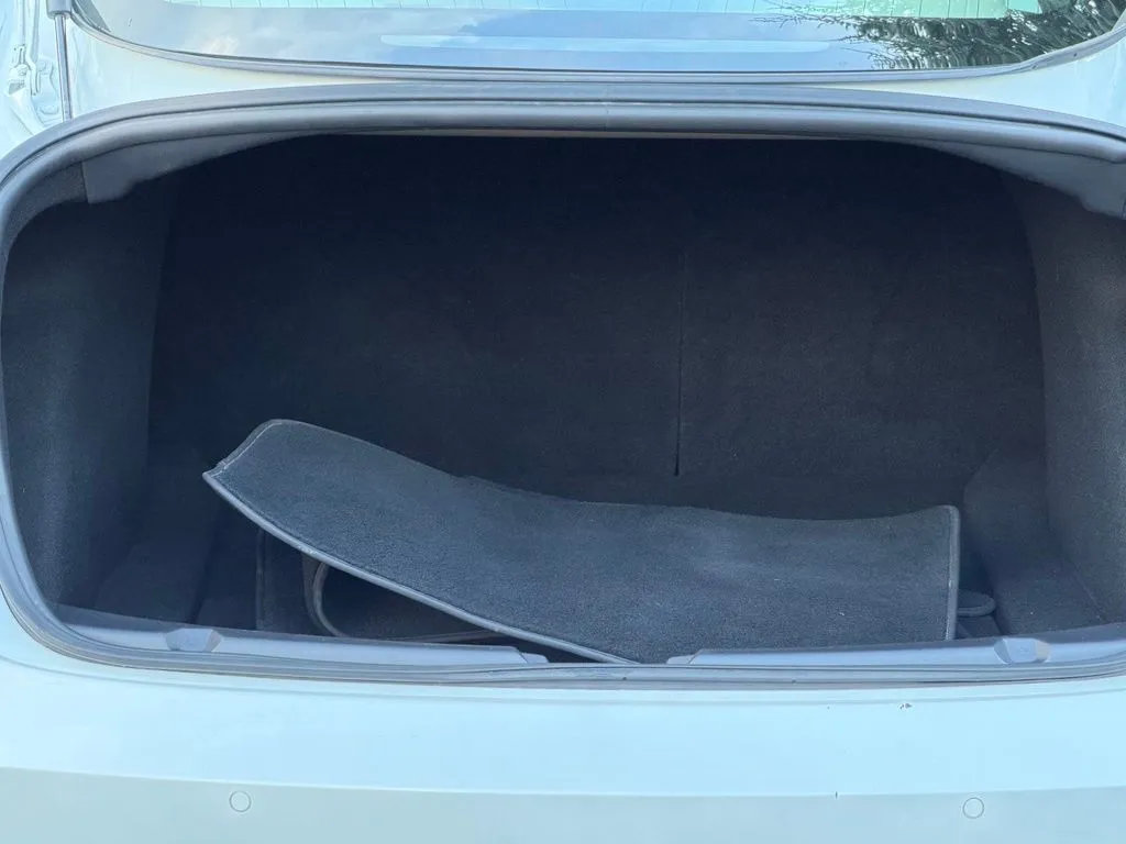 Tesla Model 3 photo 18