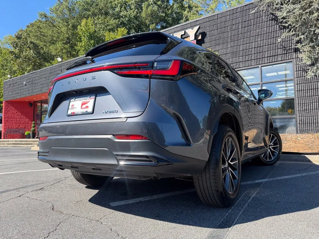 Lexus NX photo 13