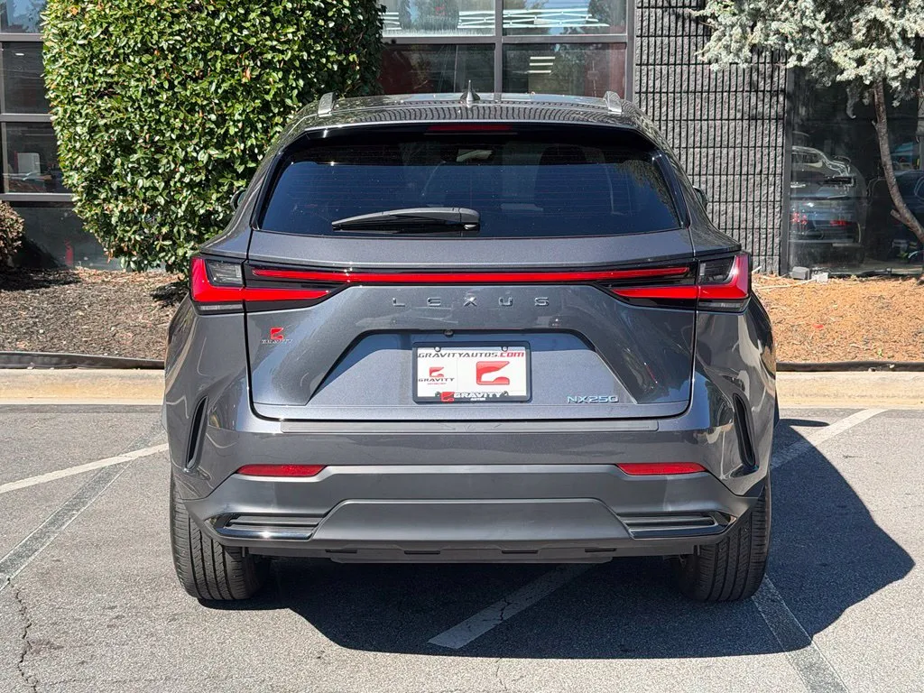 Lexus NX photo 14