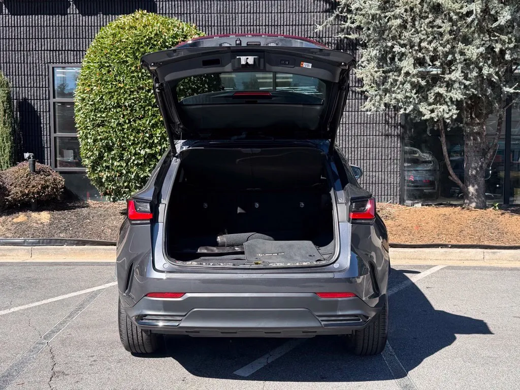 Lexus NX photo 17