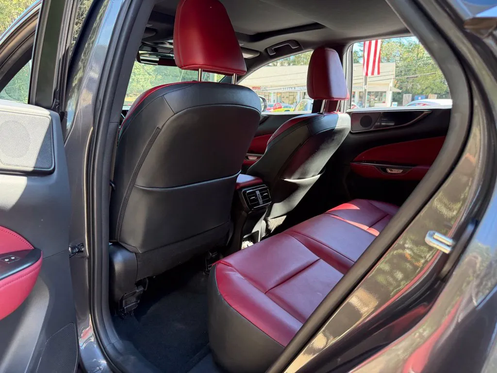 Lexus NX photo 30