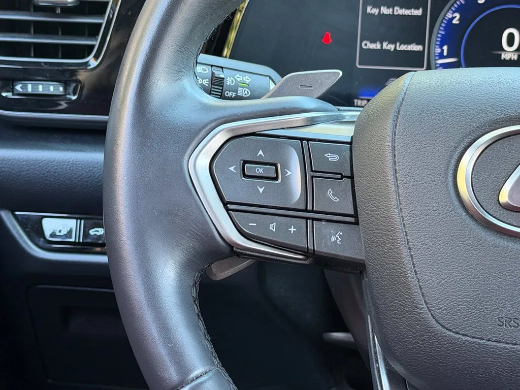 Lexus NX photo 44