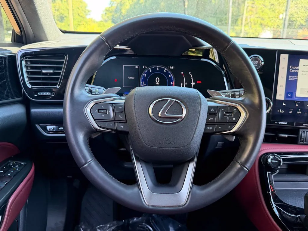 Lexus NX photo 43
