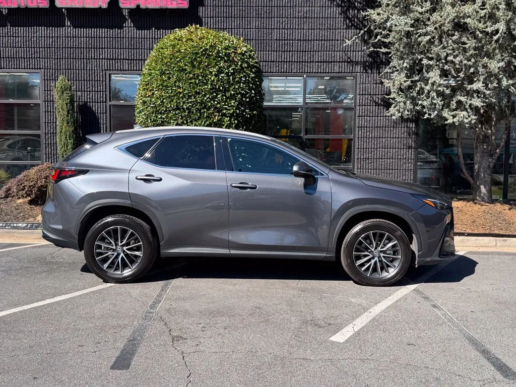 Lexus NX photo 21