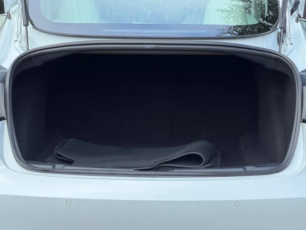 Tesla Model 3 photo 18