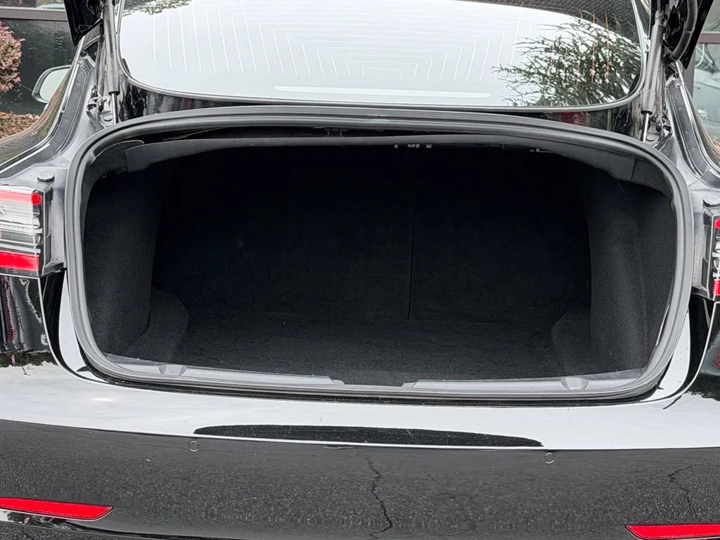 Tesla Model 3 photo 18