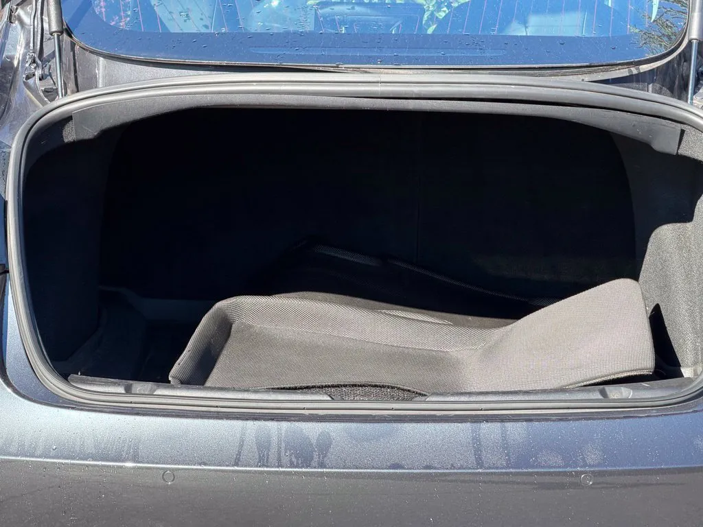 Tesla Model 3 photo 18