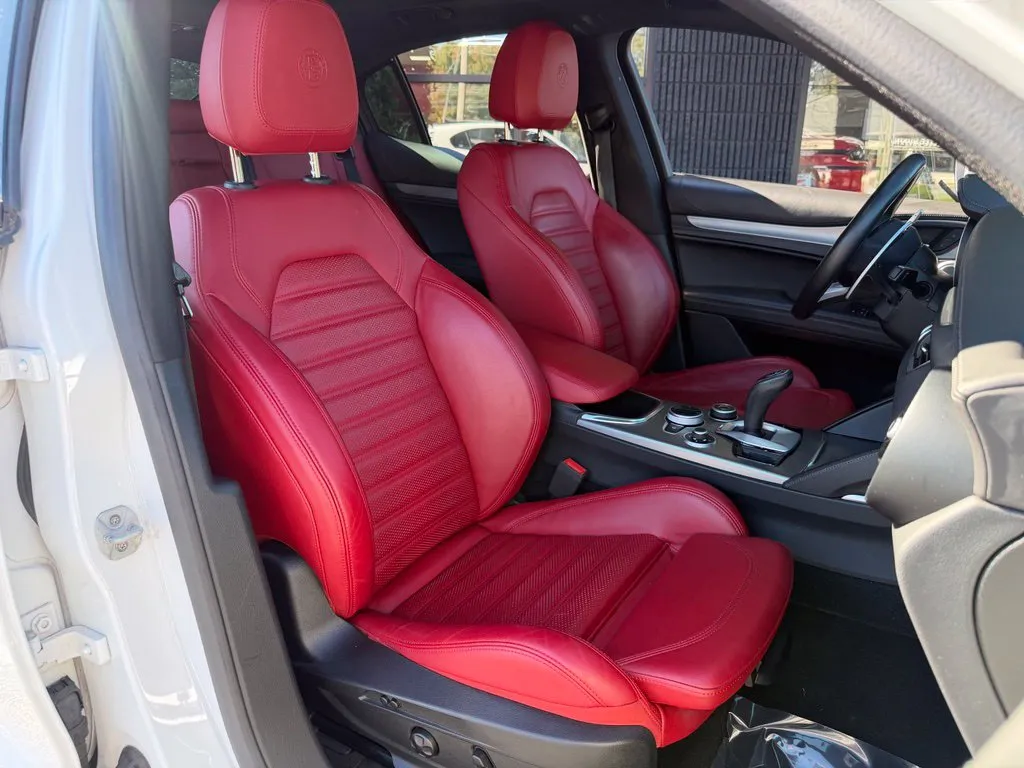 Alfa Romeo Stelvio photo 38