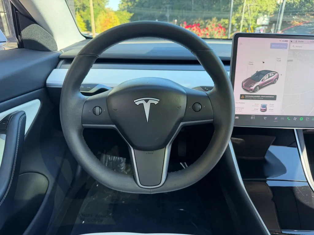 Tesla Model 3 photo 43
