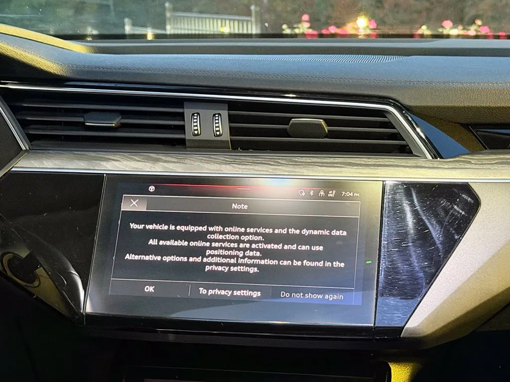 Audi e-tron photo 45