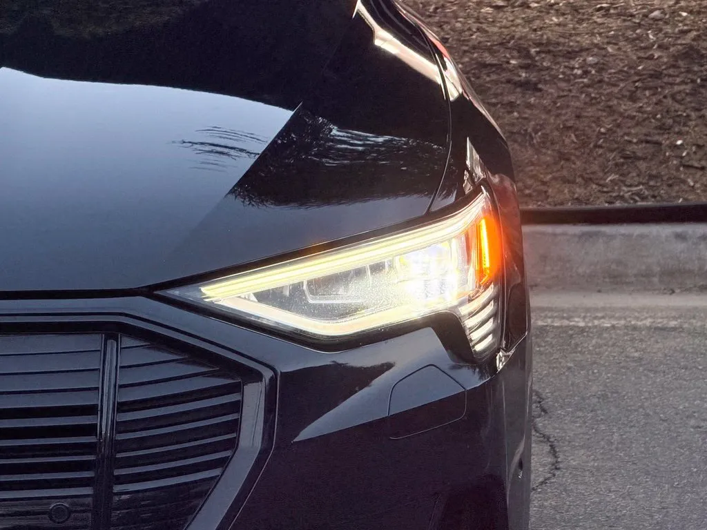 Audi e-tron photo 5