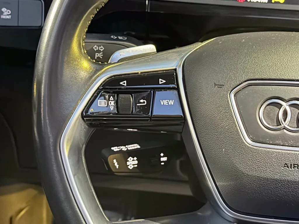 Audi e-tron photo 42