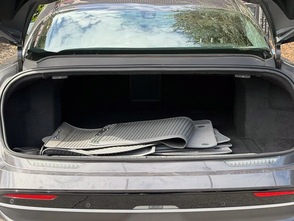 Lucid Air photo 18
