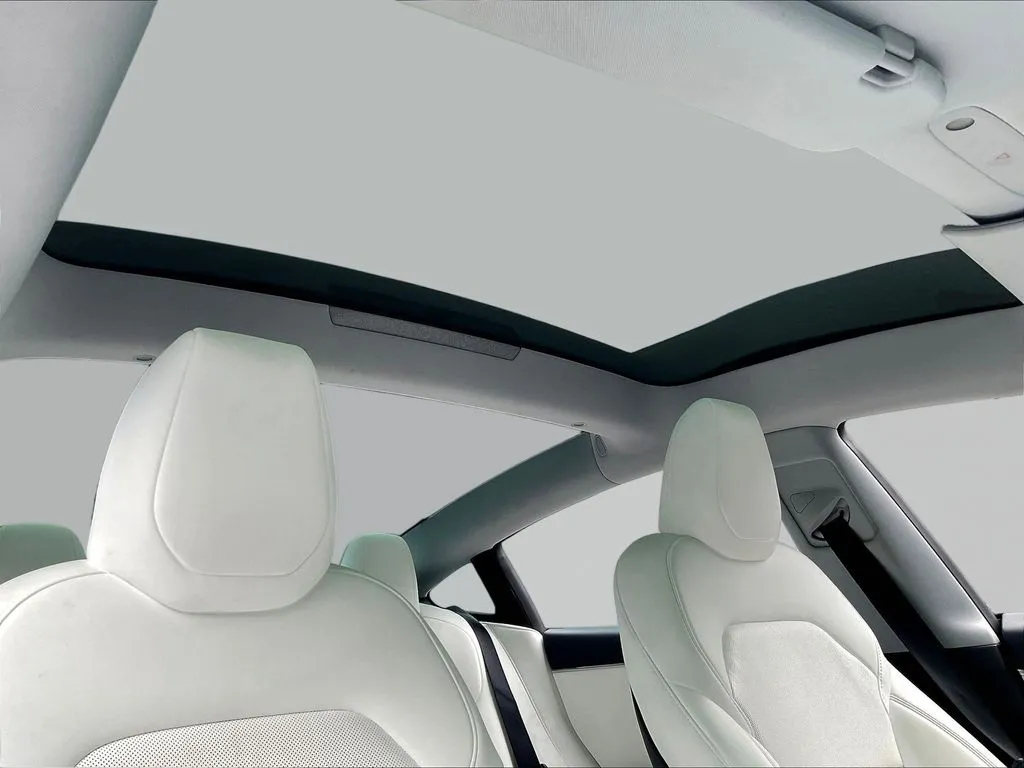 Tesla Model 3 photo 21