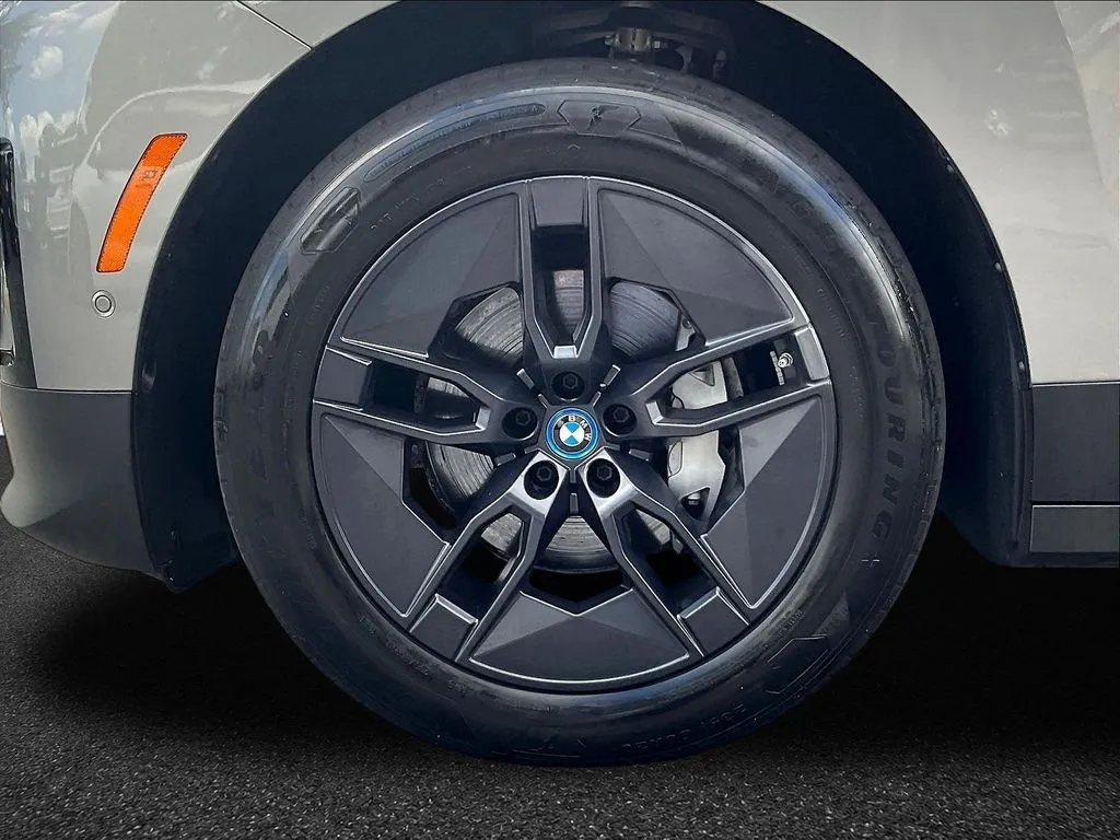 BMW iX photo 28
