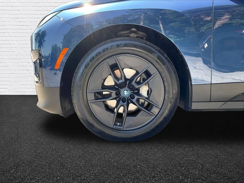 BMW iX photo 23