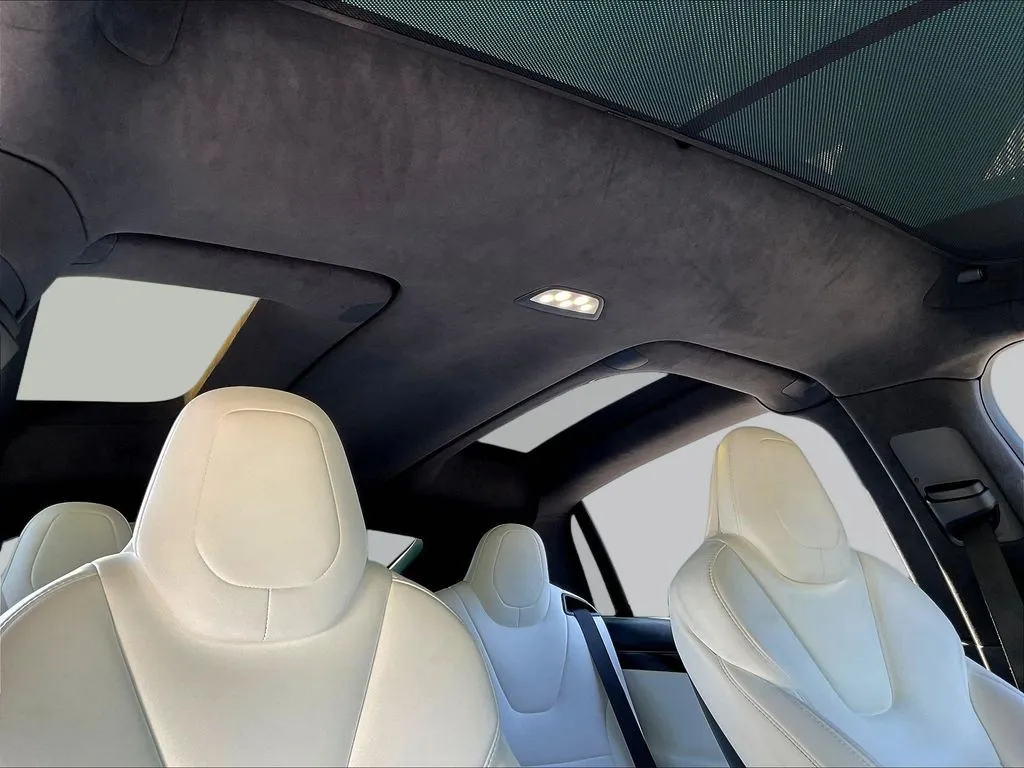 Tesla Model X photo 19