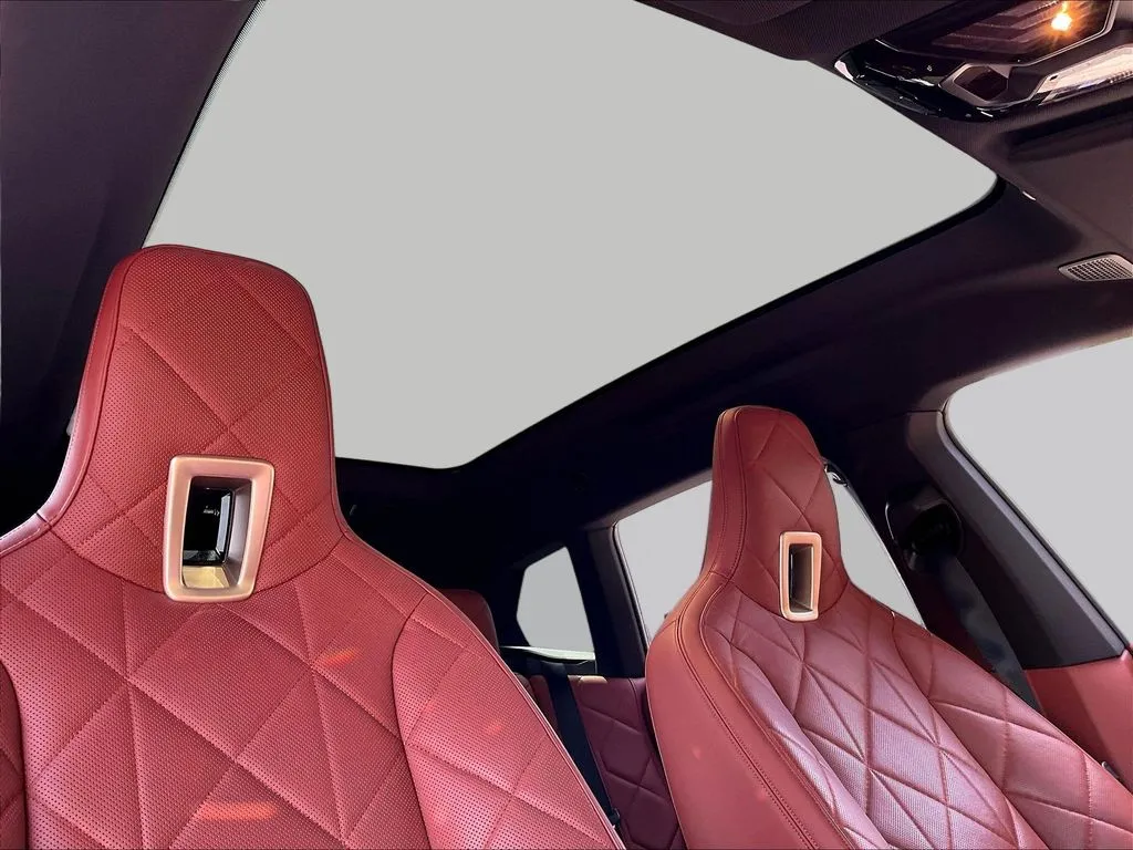 BMW iX photo 22