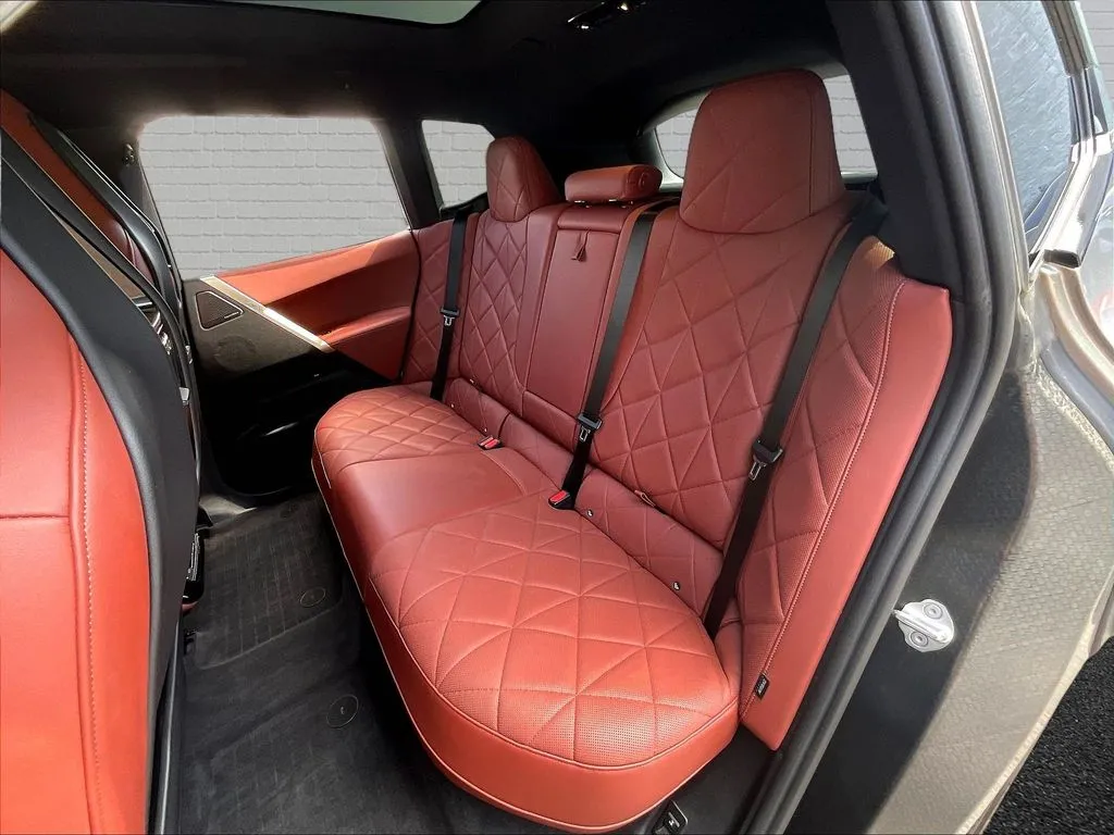 BMW iX photo 19