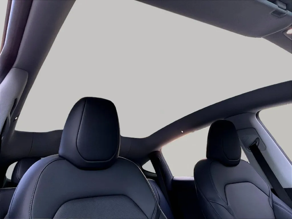 Tesla Model Y photo 19