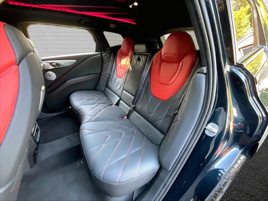 BMW XM photo 19