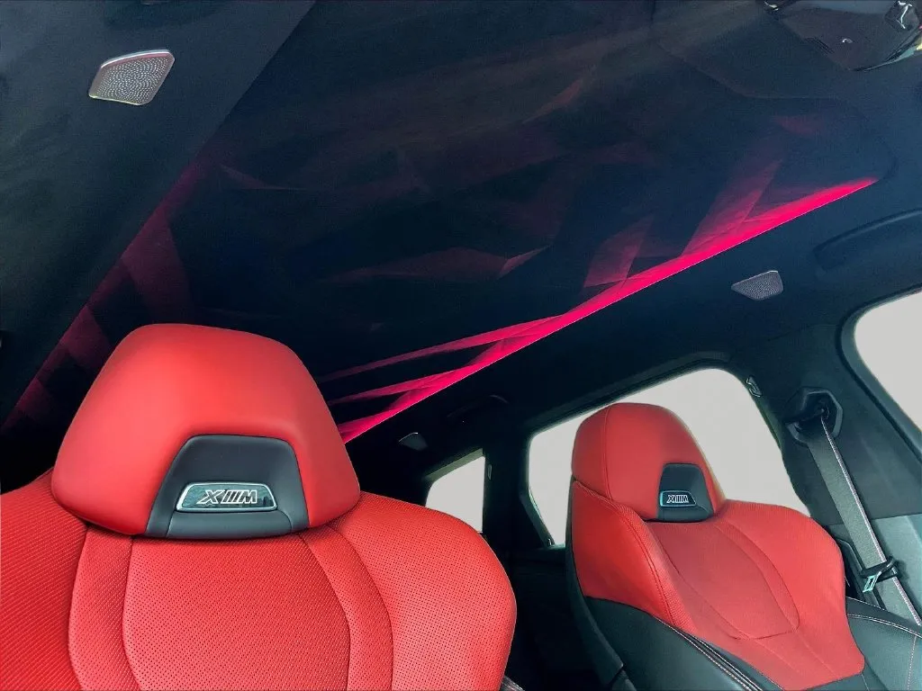 BMW XM photo 22