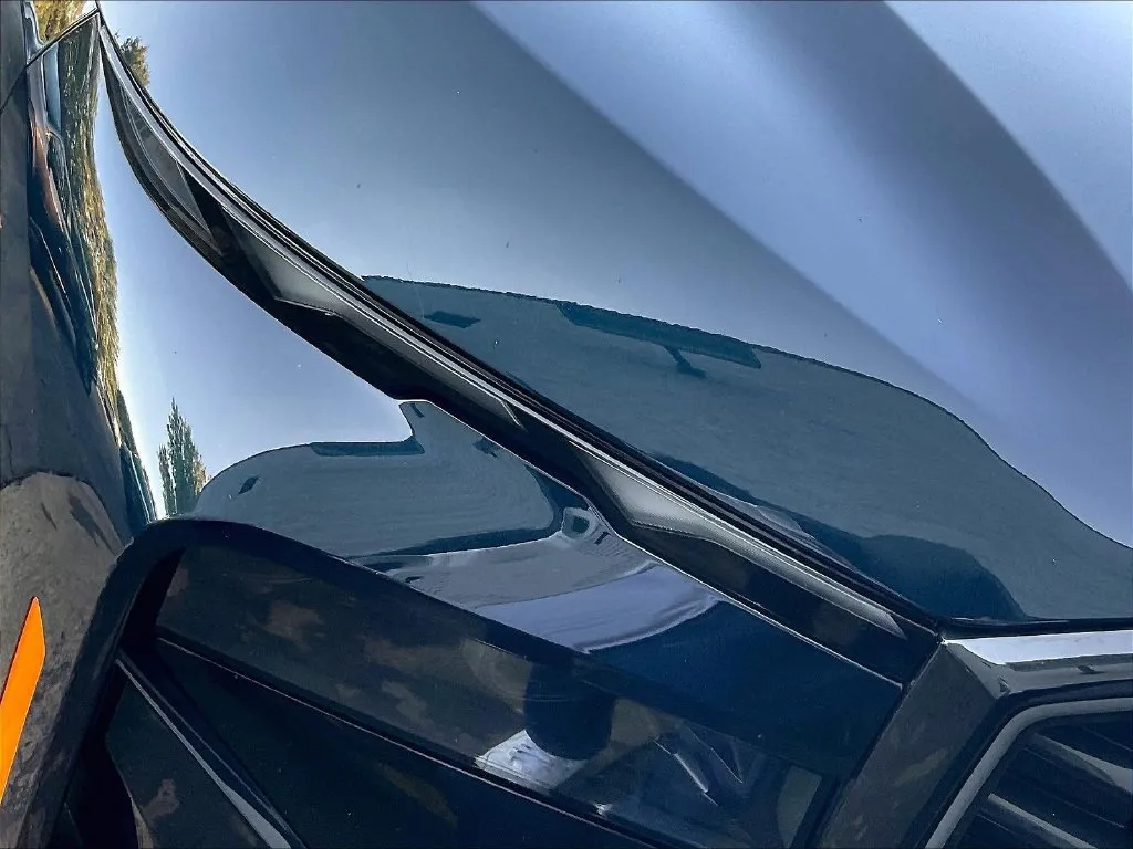 BMW XM photo 25