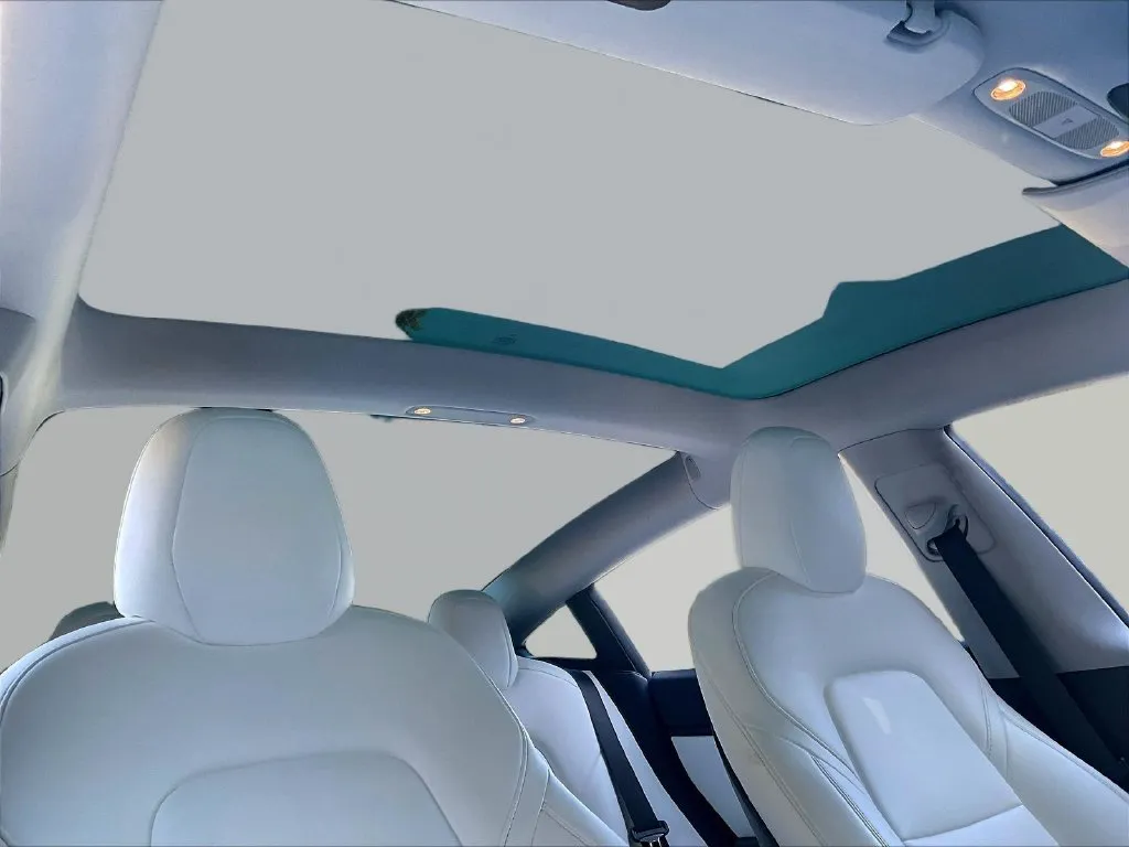 Tesla Model 3 photo 16