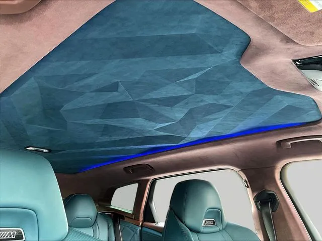 BMW XM photo 29