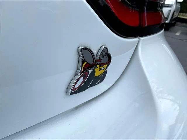 Dodge Charger photo 26