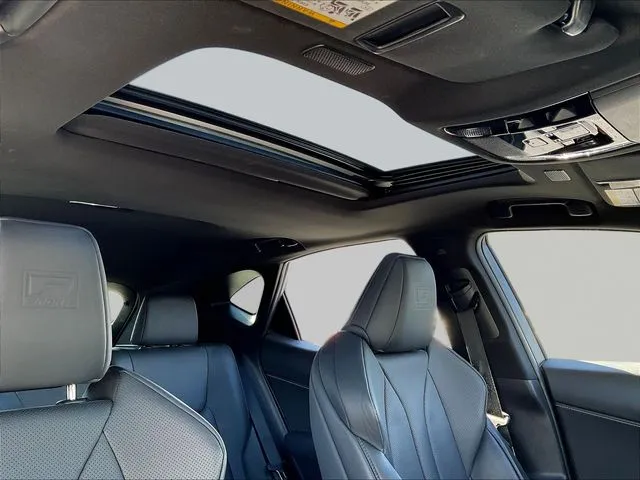 Lexus NX photo 29