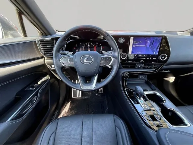 Lexus NX photo 10