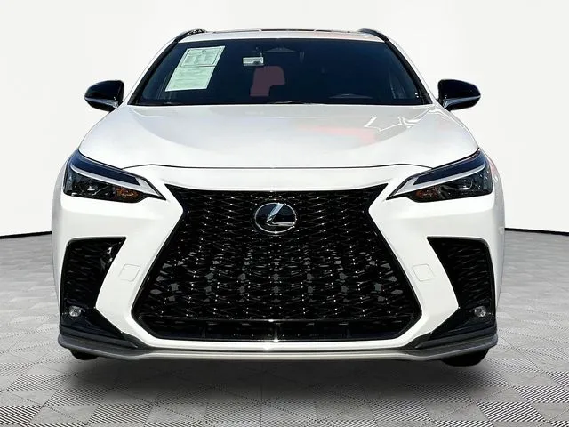 Lexus NX photo 2