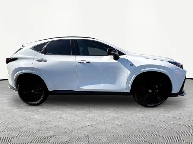 Lexus NX photo 8