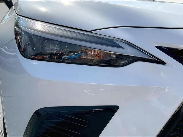 Lexus NX photo 34