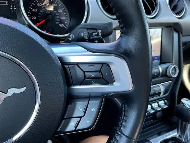 Ford Mustang photo 13