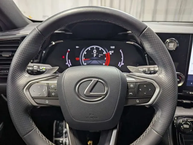 Lexus NX photo 20