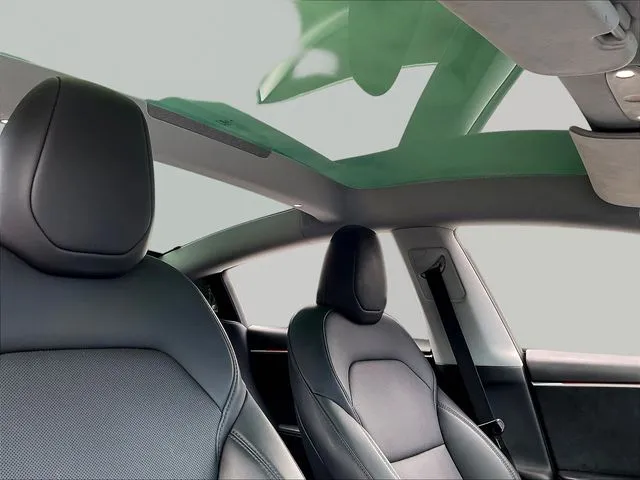 Tesla Model 3 photo 29