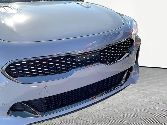Kia Stinger photo 34