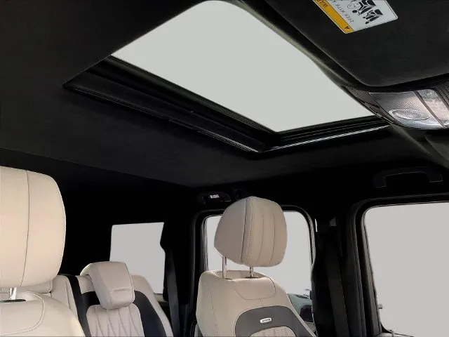 Mercedes-Benz G-Class photo 29