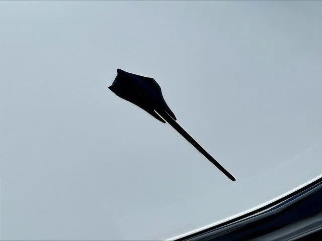 Chevrolet Corvette photo 23