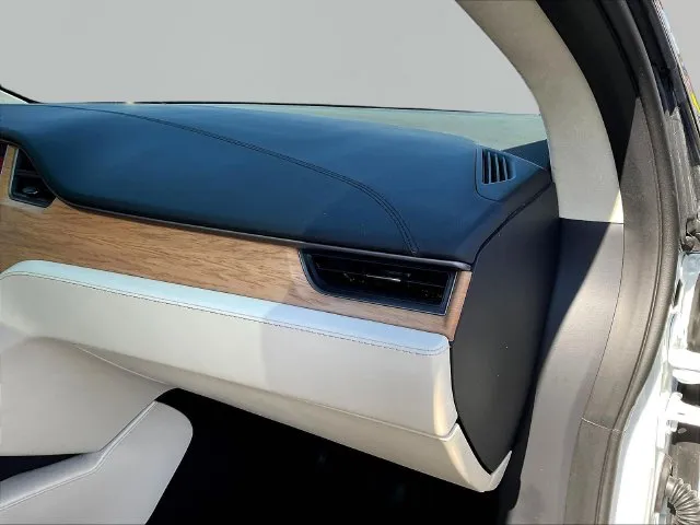 Tesla Model X photo 26
