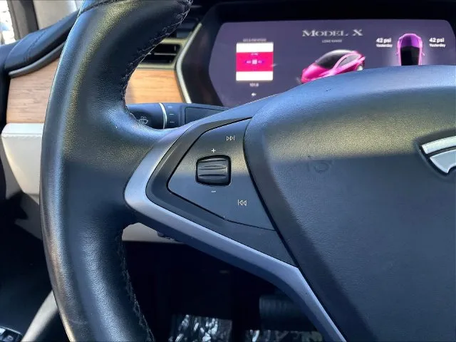 Tesla Model X photo 13