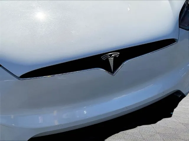 Tesla Model X photo 31