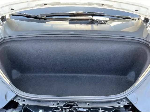 Tesla Model X photo 29