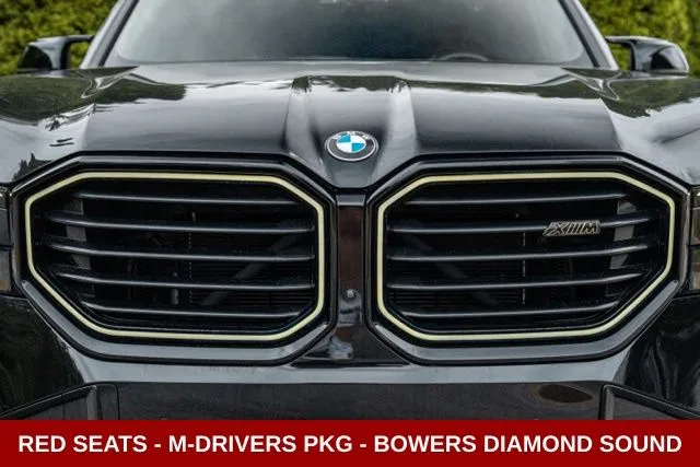 BMW XM photo 17