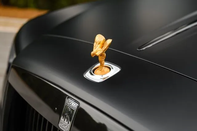 Rolls-Royce Dawn photo 11